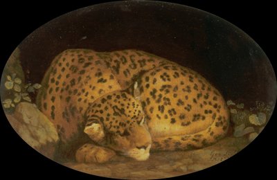 Leopardo durmiendo de George Stubbs